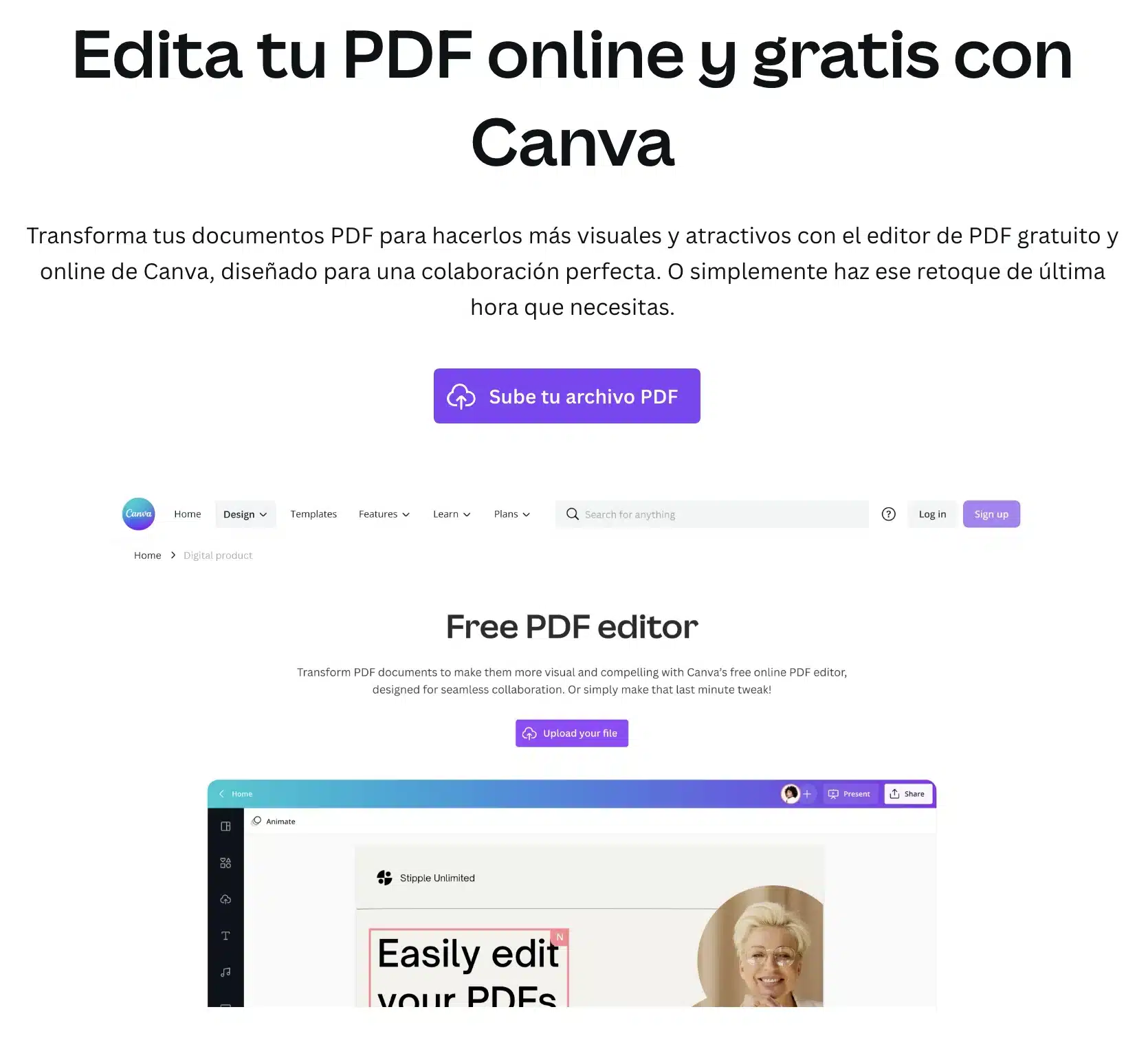 Canva editor PDF